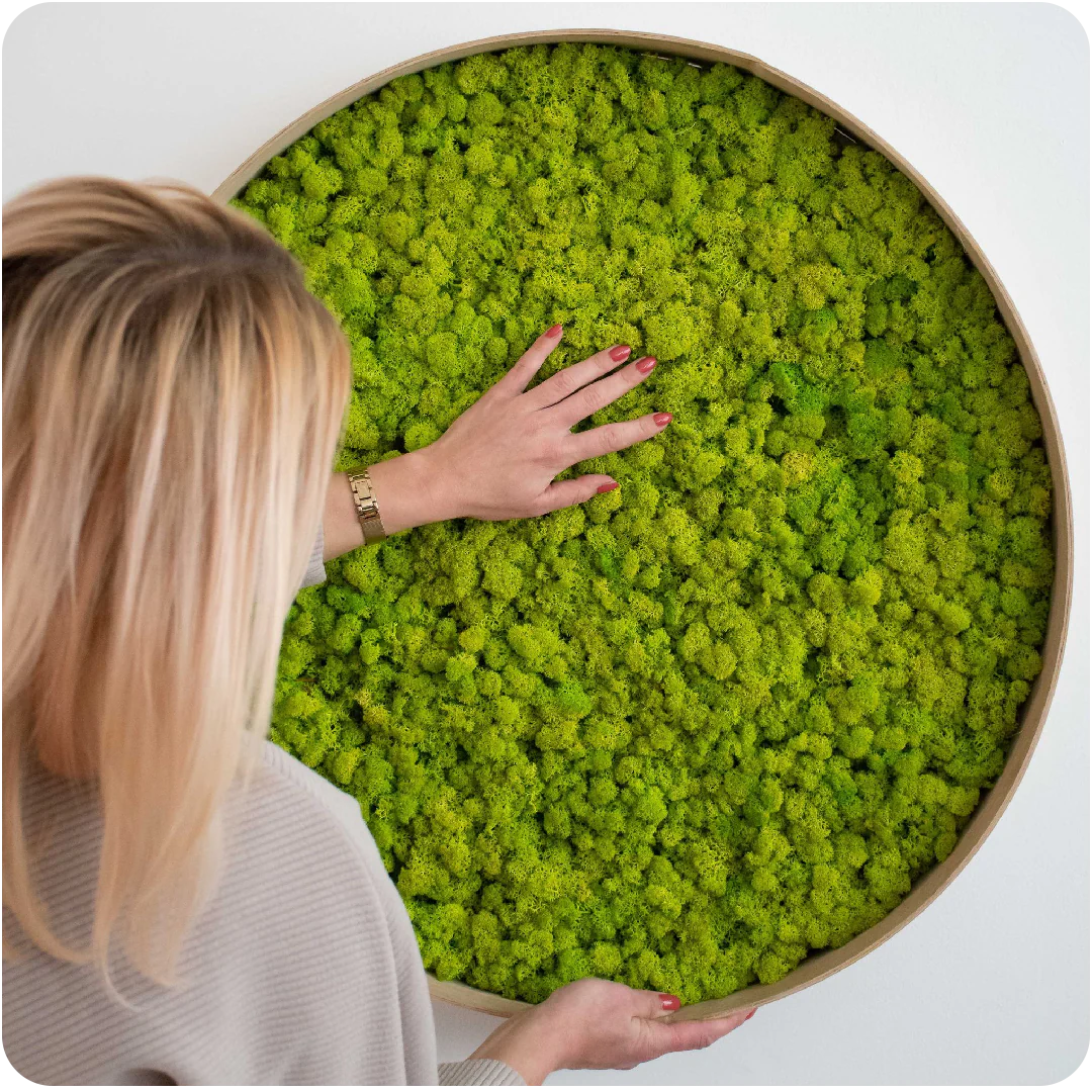 moss circle - maintenance