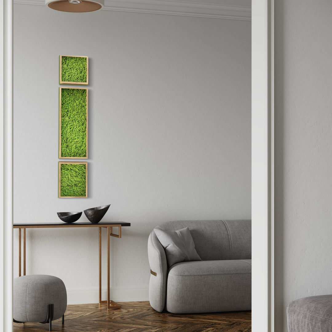 3 pcs of minimal and elegant moss art decor/pictures. Combination of 3 diferent picture
