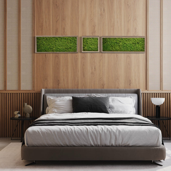 Combination of 3 pcs of wall moss decor/art in bedroom above bad.