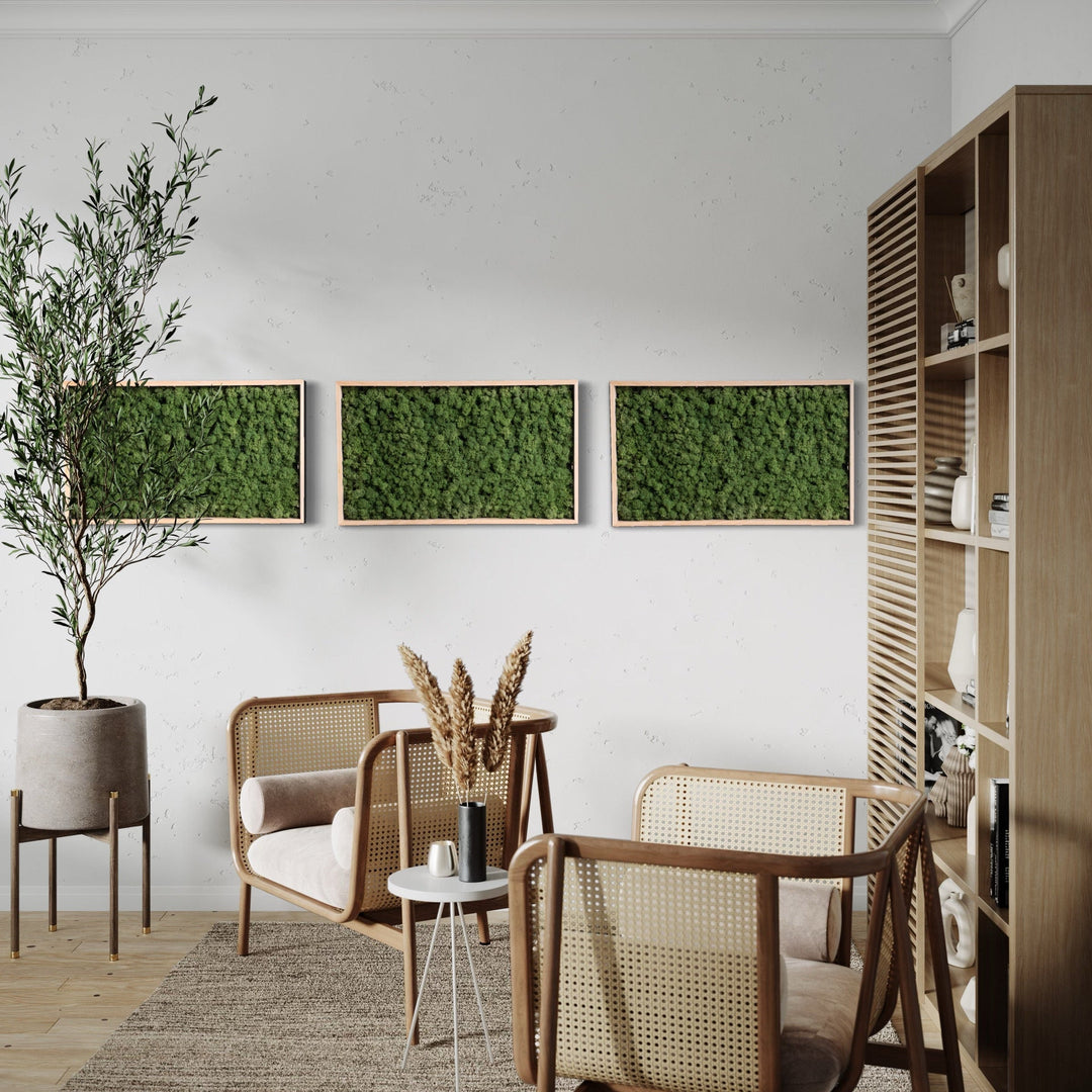 3 pcs of minimal and elegant moss art decor/pictures. Combination of pictures